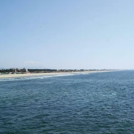 La Delle Palme * Viareggio